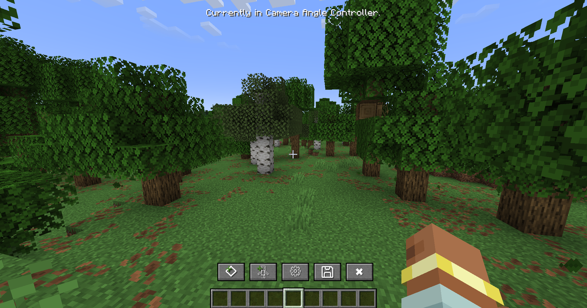 Camera angle buttons image